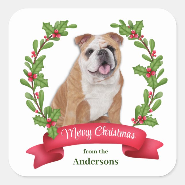 Red Berry Holly Banner Bulldog Christmas Square Sticker (Front)