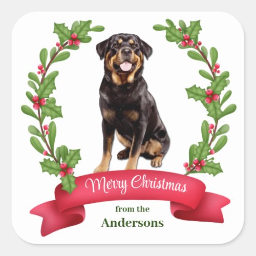 Red Berry Holly Banner Rottweiler Dog Christmas Square Sticker