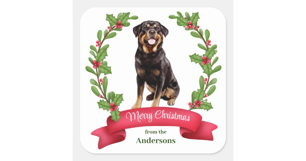 Red Berry Holly Banner Rottweiler Dog Christmas Square Sticker | Zazzle