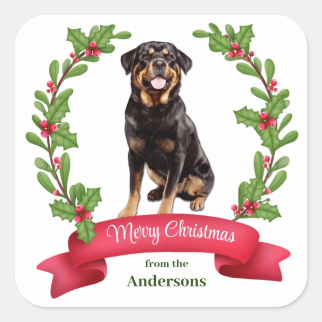 Red Berry Holly Banner Rottweiler Dog Christmas Square Sticker (Front)