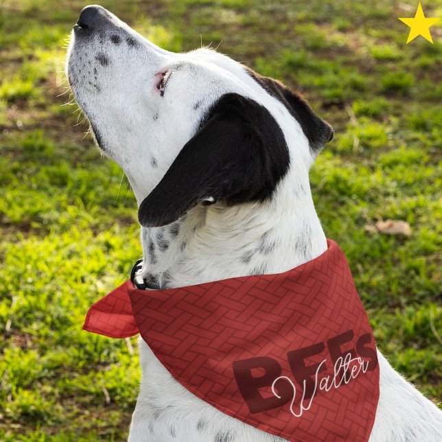 Red Best Friends Custom Name Pet Bandana (Creator Uploaded)