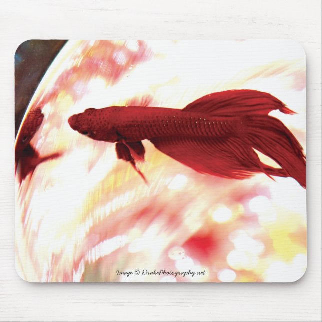 Red Betta Fish Mouse Pad (Front)