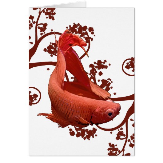 Red Betta Siamese Fighting Fish Cards (Front)