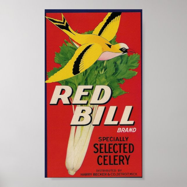 red bill celery poster (Front)