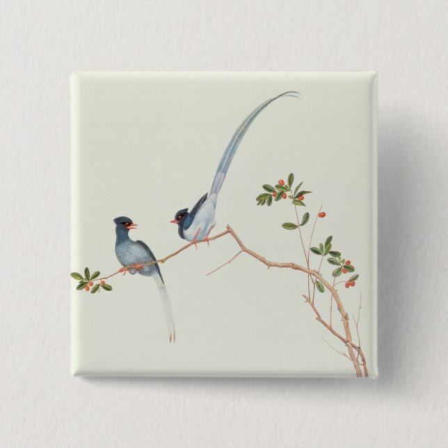 Red-billed blue magpies,a branch red berries button (Front)