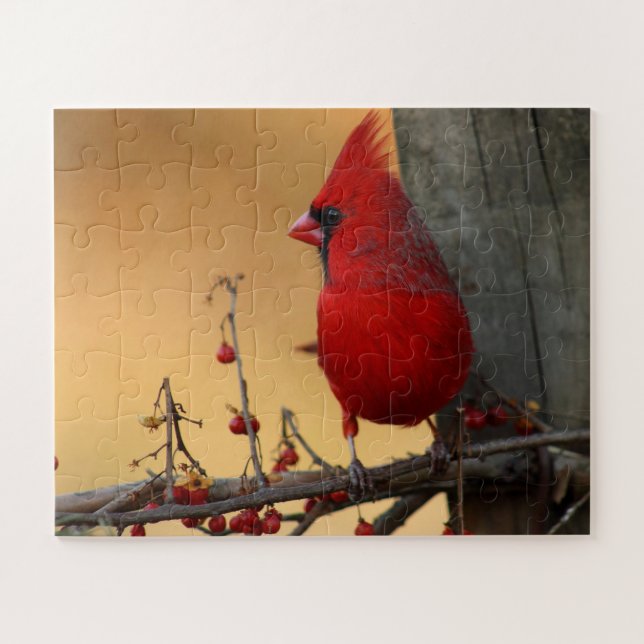 Red Bird Cardinal Large Pieces Gift Grandma Jigsaw Puzzle (Horizontal)