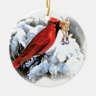 red bird in snow