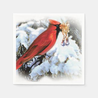 red bird in snow
