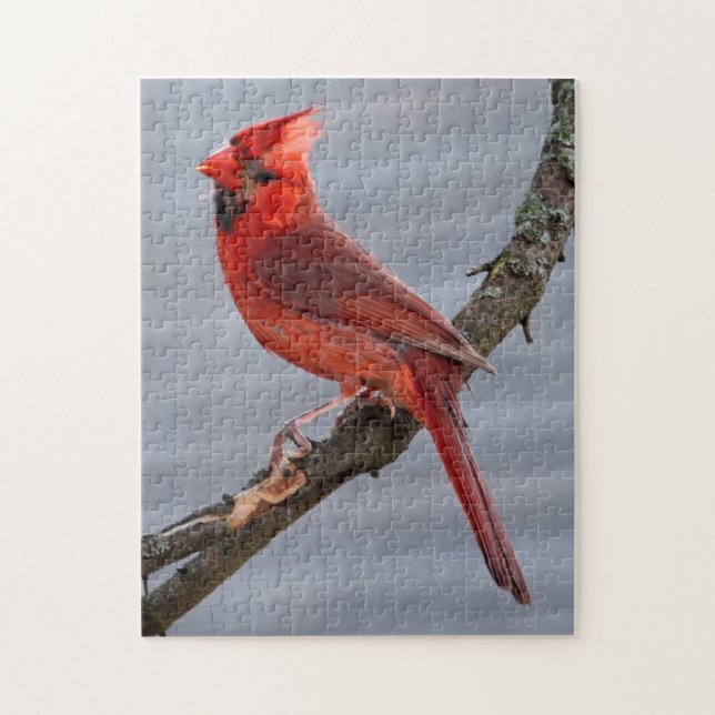 Red Bird of Summer Puzzle (Vertical)