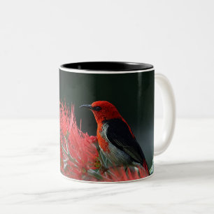 Red Bird on Branch – Elegant Nature Mug