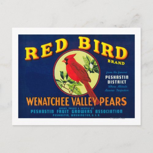 Red Bird Pear Crate LabelPashastin WA Postcard