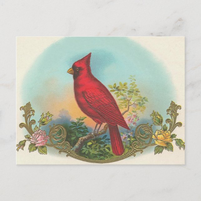 Red Bird Postcard (Front)