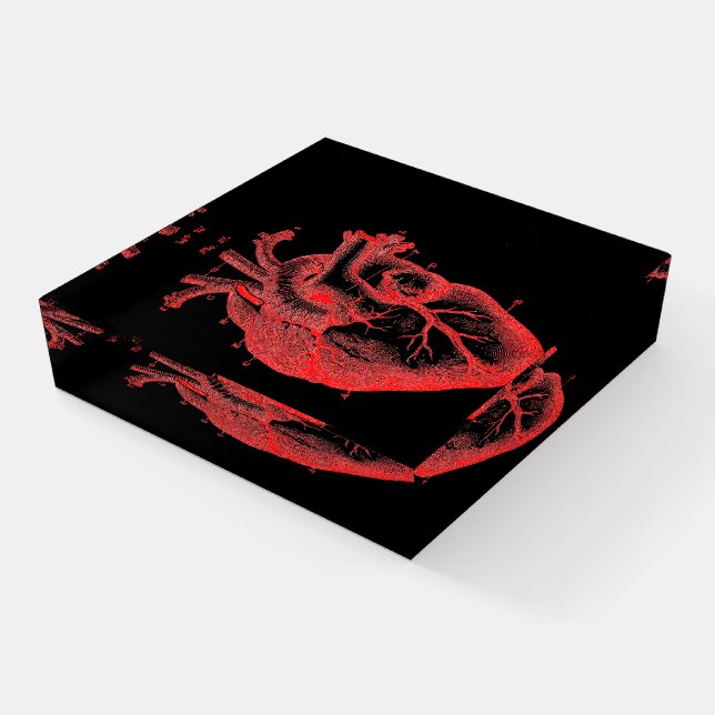 Red & Black Anatomical Heart Glass Paperweight     (Angled)