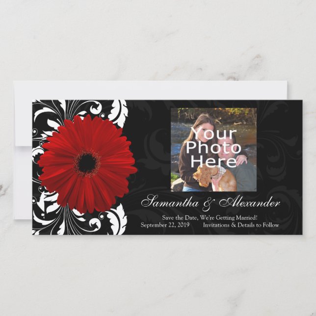 Red, Black and White Scroll Gerbera Daisy Save The Date (Front)