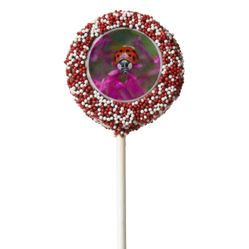 Red Black Ladybug Ladybird on Pink Flowers Chocolate Covered Oreo Pop