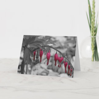 Red Bleeding Hearts Card