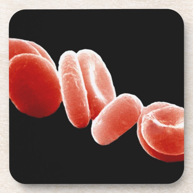Red Blood Cells Beverage Coaster (Front)