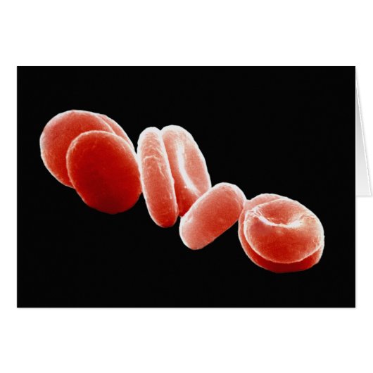 Red Blood Cells Cards (Front Horizontal)