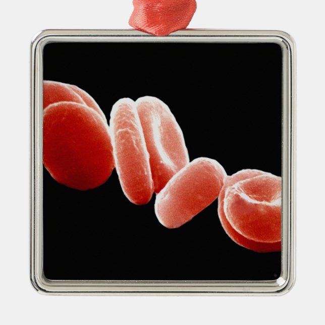 Red Blood Cells Metal Ornament (Front)