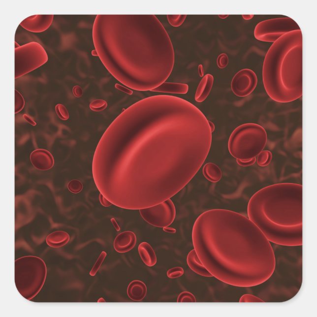 Red Blood Cells Microscopic Square Sticker (Front)