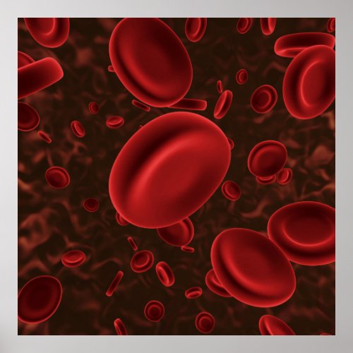 Red Blood Cells Poster