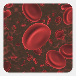 Red Blood Cells Square Sticker