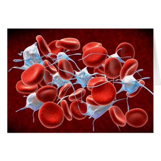 Red Blood Cells With Leukocytes Cards (Front Horizontal)