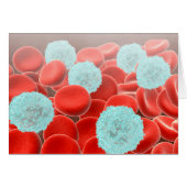 Red Blood Cells With White Blood Cells (Front Horizontal)