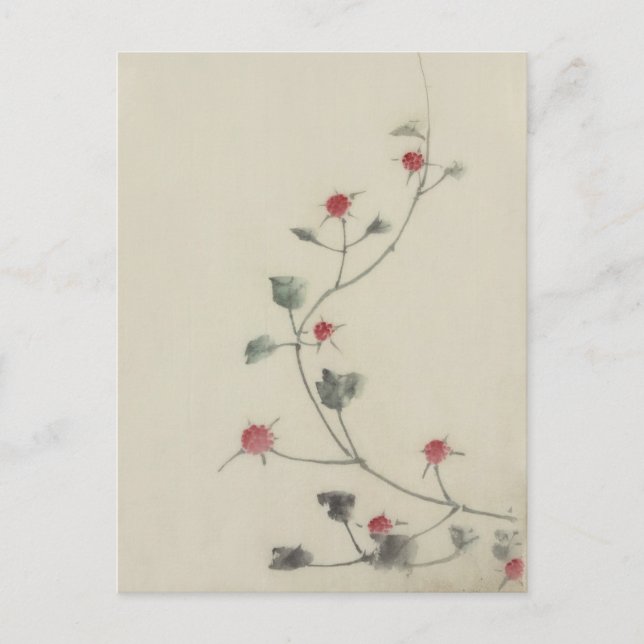 Red Blossoms on Vine Hokusai Japanese Fine Art Postcard (Front)