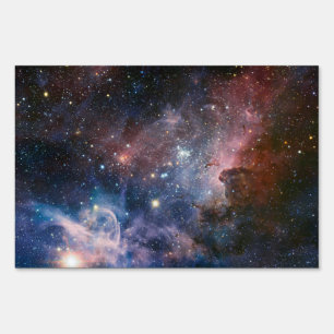 Red & Blue Carina Nebula Hubble Telescope Sign