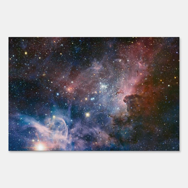 Red & Blue Carina Nebula Hubble Telescope Sign (Front)