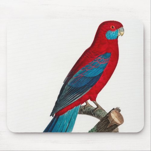 Red Blue Crimson Rosella Parrots Mouse Pad