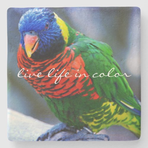 Red Blue Green Bird Photo Live Life in Color Quote Stone Coaster