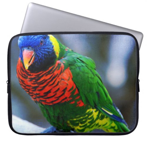 Red blue green lorikeet bird photo bold modern laptop sleeve