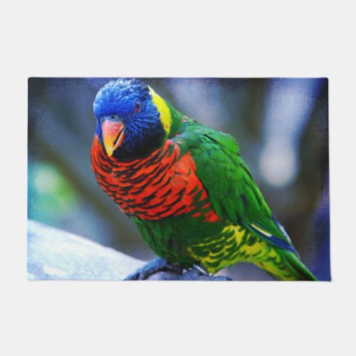 Red blue green yellow bird close_up photo modern doormat