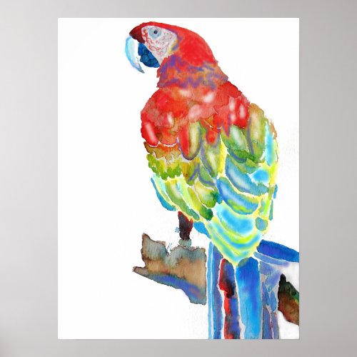 Red Blue Macaw Parrots Parrot Watercolour Poster