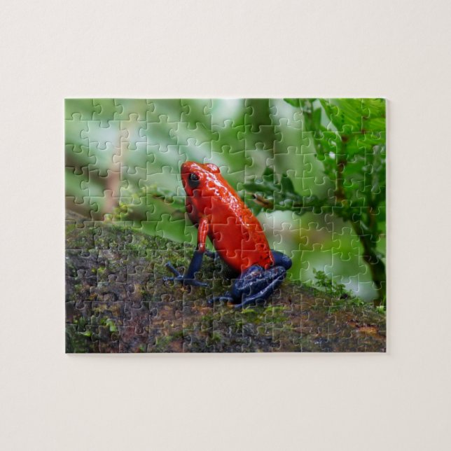 Red & Blue Poison Dart Frog Jigsaw Puzzle (Horizontal)