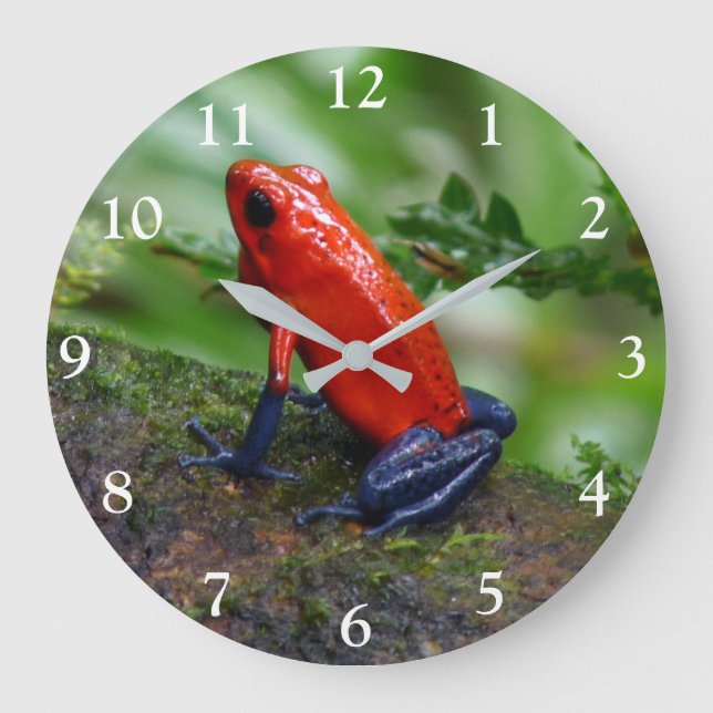 Red & Blue Poison Dart Frog Large Clock (Front)
