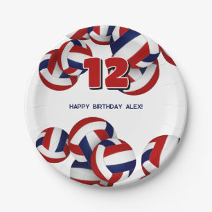 red blue volleyballs boys girls birthday party paper plates