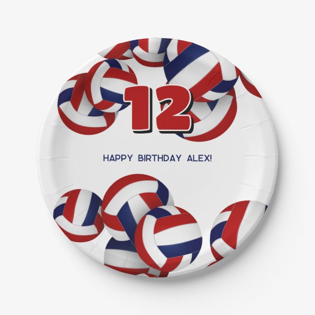 red blue volleyballs boys girls birthday party paper plates (Front)