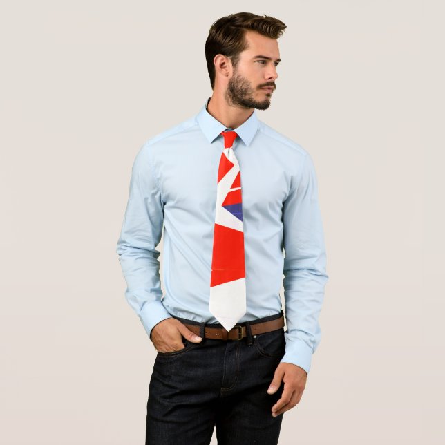 Red Blue White Abstract Art Tie (In Situ)