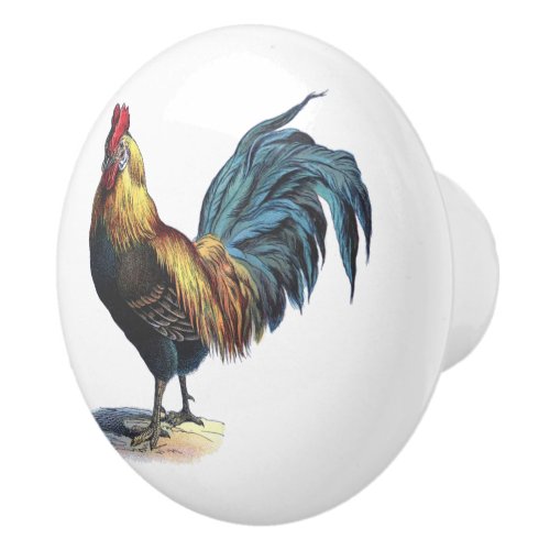 Red Blue Yellow Rooster On White Ceramic Knob