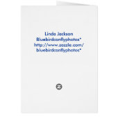 Red boat at Gloucester (Back)