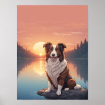 Red Border Collie