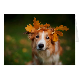 Red Border Collie With a Garland of Autumn Leaves Cards