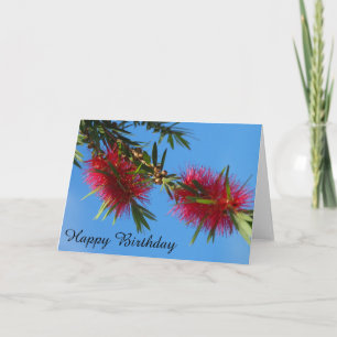 Red bottlebrush blank birthday card