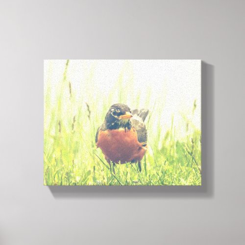 Red_Breasted American Robin Bird Canvas Print