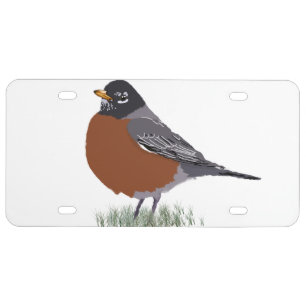 Red Breasted American Robin Digitally Drawn Bird License Plate