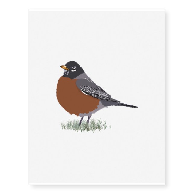Red Breasted American Robin Digitally Drawn Bird Temporary Tattoos (Front)
