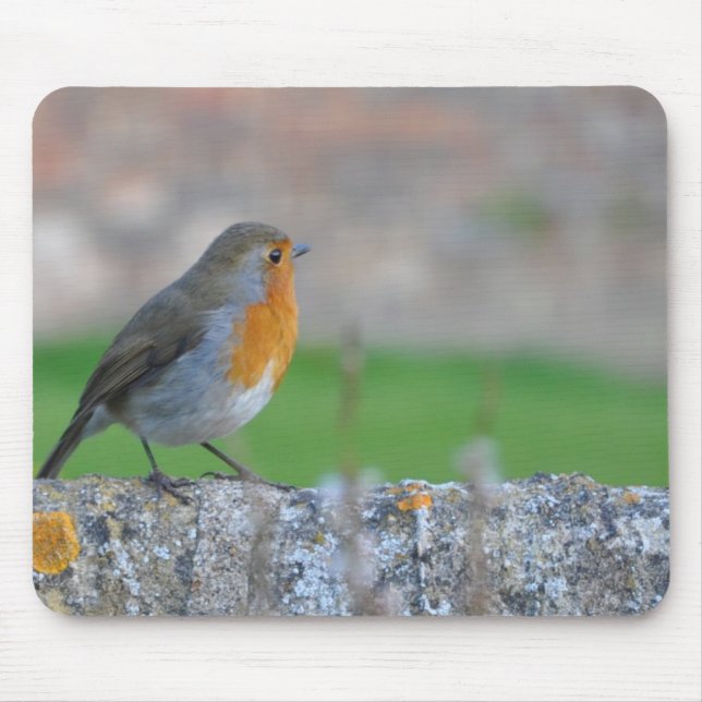 Red-breasted Flycatcher Mouse Pad (Front)